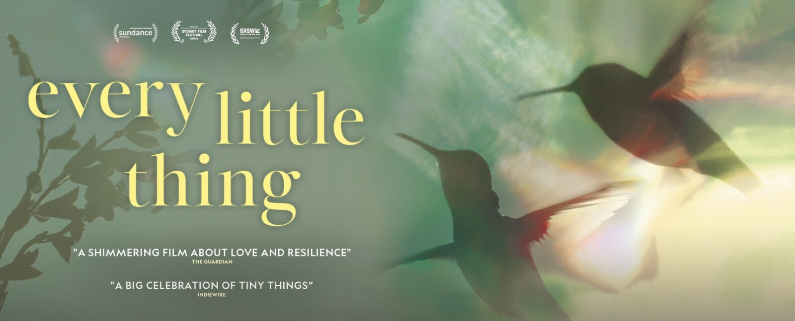 The Review: ‘Every Little Thing’ Soars Beyond Expectations