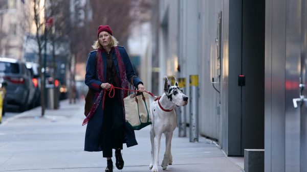 Ryan Gosling y Will Ferrell protagonizarán la película de comedia 'Chicos Duros'