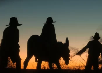 The Review: Warwick Thornton’s ‘Wolfram’