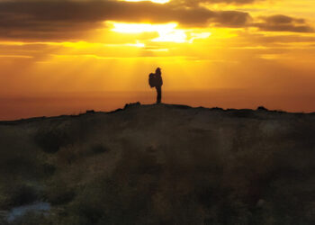 The Review: Dianne Whelan’s Epic Quest for Healing in ‘500 Days in the Wild’