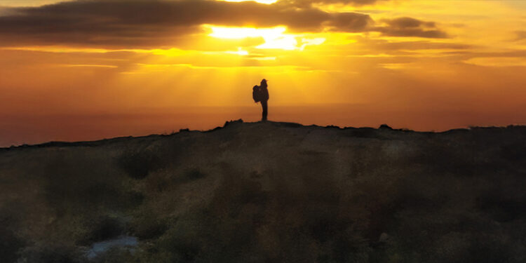 The Review: Dianne Whelan’s Epic Quest for Healing in ‘500 Days in the Wild’