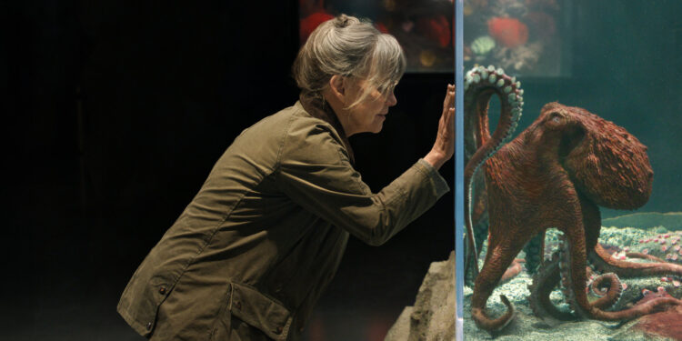 Trailer: Lewis Pullman & Sally Field Lead Netflix Movie ‘Remarkably Bright Creatures’